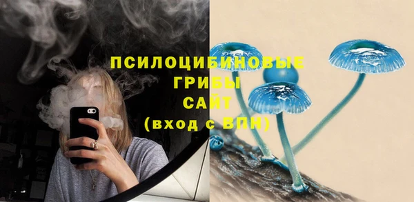 герыч Бородино