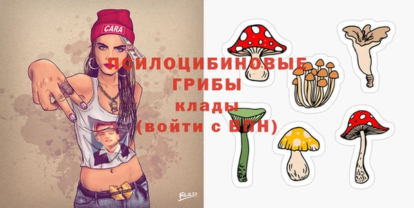 герыч Бородино