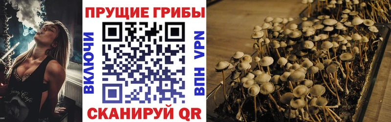 Псилоцибиновые грибы Magic Shrooms  Уфа 